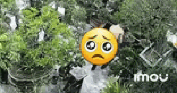 Phẫn nộ clip chồng rượt đuổi, đánh đập dã man mặc cho người vợ liên tục gào khóc van xin ngay trong sân vườn