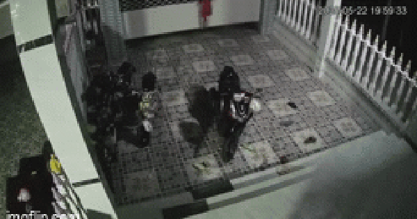 Khoảnh khắc bé gái đu mình lên cửa cuốn gặp tai nạn ngưng tim nguy kịch: Tình trạng sức khoẻ hiện tại ra sao?