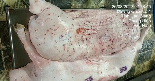 Sóc Trăng kiểm tra cơ sở kinh doanh thịt heo sau phản ánh gây xôn xao