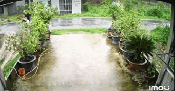 Trích xuất camera vụ 2 người đàn ông ngã ra đường tử vong: Nguyên nhân xót xa