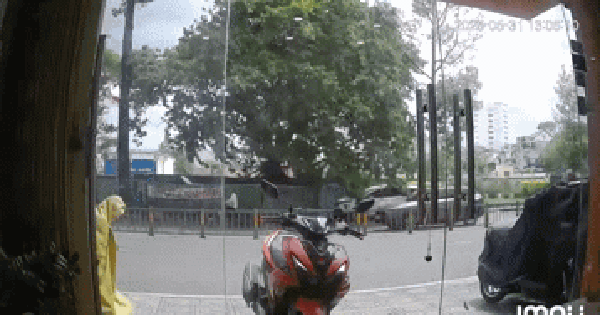 Khoảnh khắc cây xanh bất ngờ bật gốc trong cơn giông, đè trúng người đi đường và ô tô ở TP.HCM