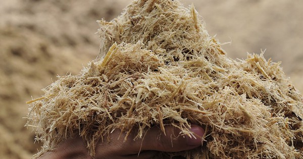 Thứ từng bị coi là phế phẩm bỏ đi nay trở thành nguồn ngoại tệ lớn khó tin, cháy hàng