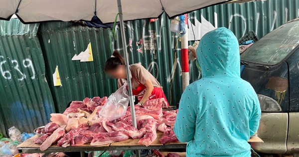 Đi khắp các chợ Hà Nội tìm mua lòng se điếu đều chỉ nhận về cái "lắc đầu", nhiều tiểu thương khẳng định 1 điều