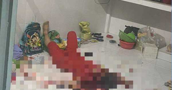 Nghi phạm hiếp dâm con riêng, chém vợ rồi nhảy cầu tự tử