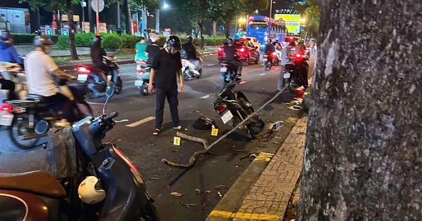 Nhánh cây khiến bé trai 10 tuổi ở TP HCM hôn mê