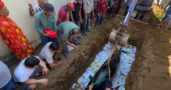 Ngư dân vùng biển an táng cá voi dài hơn 3,7 m lụy bờ