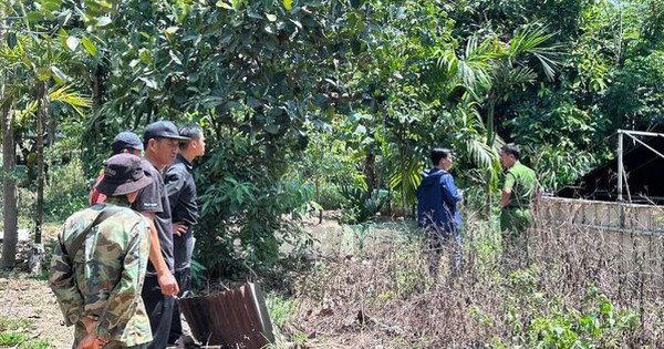 Điều tra nguyên nhân tử vong của 2 người đàn ông