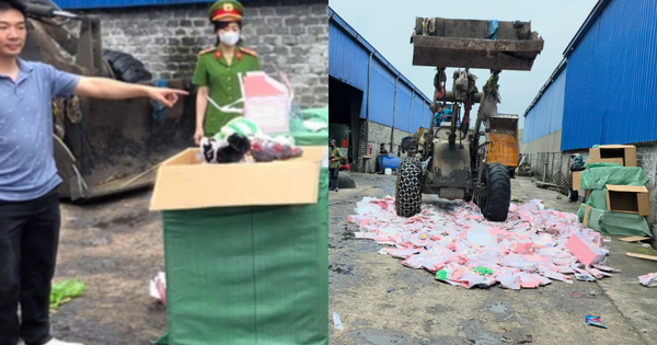 Quảng Ninh tiêu huỷ gần 2.000 gấu bông Baby Three