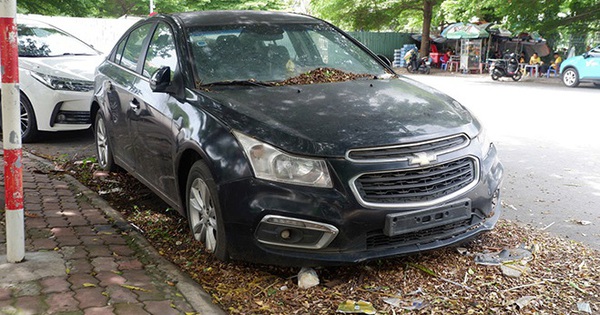 Ô tô đỗ cả năm ngoài đường không ai nhận, mọc cả cây trên kính xe ở TP.HCM: Nguồn cơn được hé lộ