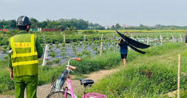 Máy bay đang hạ cánh, phi công phát hiện 3 chiếc diều