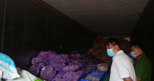 Giật mình hình ảnh hơn 11 tấn chân gà, thịt heo đông lạnh không rõ nguồn gốc
