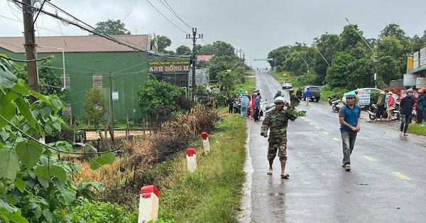 2 thanh niên tử vong trong bụi rậm ven đường
