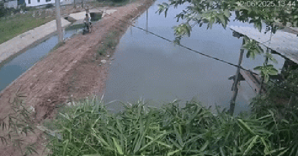 3 thiếu niên bị điện giật bên bờ kênh: Tiếng la hét khiến cả xóm kinh sợ, lao ra ngoài