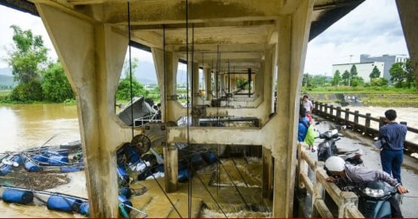 Lũ cuốn trôi bè nuôi cá hàng chục tấn, gây thiệt hại tiền tỷ