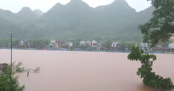 Mưa lũ tại miền Trung diễn biến phức tạp: Cá nuôi chết hàng loạt, lúa và hoa màu bị ngập