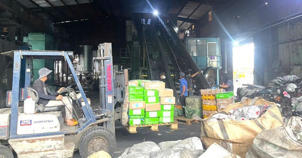 Hình ảnh hơn 30 tấn vú heo, dồi trường, gà ủ muối “bẩn” của một cơ sở kinh doanh