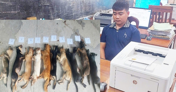 Bị truy đuổi, kẻ trộm chó chui vào nhà vệ sinh để trốn