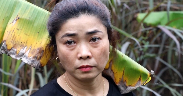 Triệt phá đường dây ma túy xuyên quốc gia