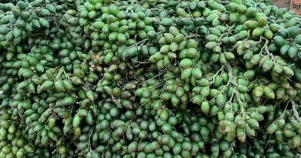 Từng tăng nhập khẩu 1.200%, một mặt hàng từ Trung Quốc đổ bộ ngược trở lại Việt Nam, nước ta chi gần 300 tỷ đồng mua hàng