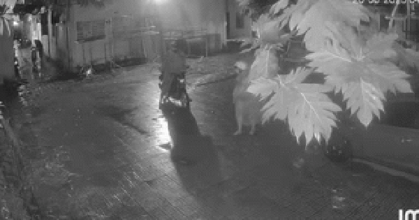 Nhóm đối tượng trộm 6 xe máy của sinh viên trong 1 tiếng ở Bình Dương: Có xe vẫn đang phải trả góp