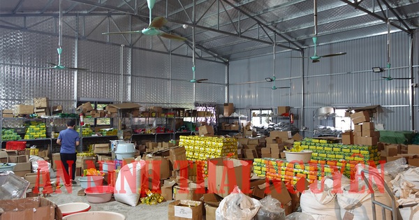 Bắt chủ xưởng giả mạo nhãn hiệu “chè Thái Nguyên”