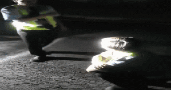 Tổ trưởng bảo vệ đánh đồng nghiệp rồi dọa "lần sau không đánh bằng tay, chân nữa": Bất ngờ diễn biến đằng sau