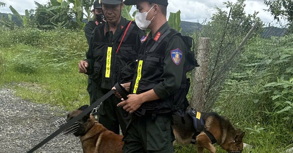 Cảnh sát dùng chó nghiệp vụ khám xét nơi ở của đôi tình nhân nhiều nghi vấn