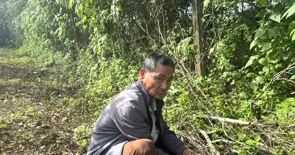 Đôi tình nhân nuôi gần 10 con chó dữ để thuận lợi tẩu tán ma tuý