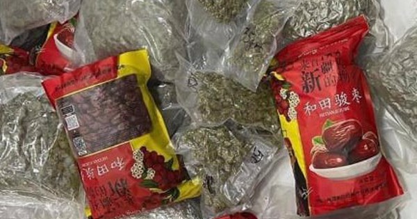 Nguỵ trang hơn 200kg cần sa giao dịch qua đường chuyển phát