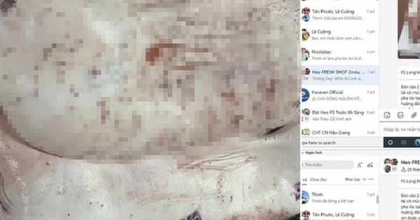 Chủ tịch UBND tỉnh Hậu Giang chỉ đạo "nóng" sau vụ C.P. Việt Nam bị "tố" bán thịt heo bệnh