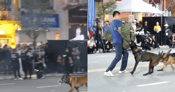 Mãn nhãn tuyệt đối với các màn biểu diễn huấn luyện cảnh khuyển, khí công... của các chiến sĩ công an nhân dân