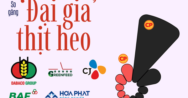 350.000 con heo nái đưa C.P. Việt Nam thống trị ngành heo, ‘đại gia’ Việt phất cờ chiếm lại thị trường?