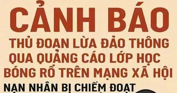 Lên mạng tìm lớp học bóng rổ cho con, một phụ huynh bị lừa gần 3,9 tỷ đồng