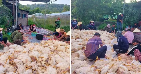 kenh14.vn