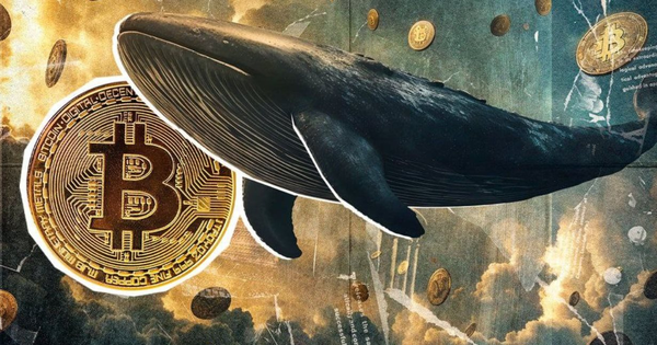 Chấn động thị trường tiền số: Quái vật Bitcoin ...