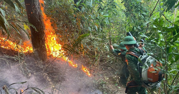 Nghi đốt ong lấy mật, cháy dữ dội 3.000 m² rừng phòng hộ Đèo Ngang