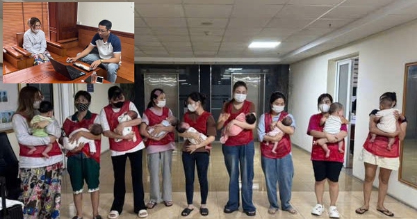 Triệt phá đường dây mang thai hộ xuyên quốc gia, giải cứu 11 trẻ sơ sinh