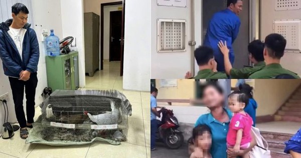 Vụ án "gà lôi trắng": Bị cáo Thái Khắc Thành được trở về nhà, cấm đi khỏi nơi trú