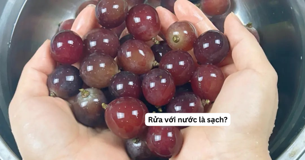Cách rửa nho khiến trứng sâu trôi sạch, thuốc trừ sâu bay biến như chưa từng tồn tại