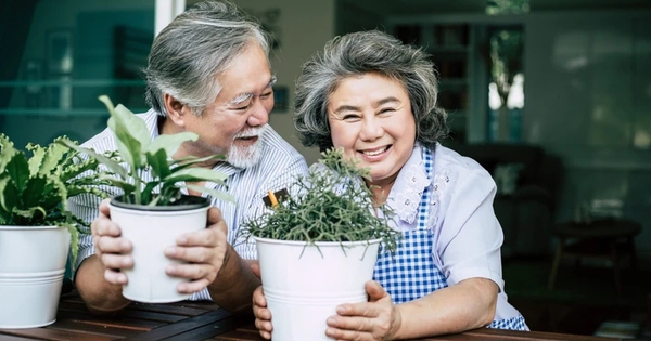 Những người tuổi nghỉ hưu sống hạnh phúc và giàu có đều sở hữu 8 đặc điểm này