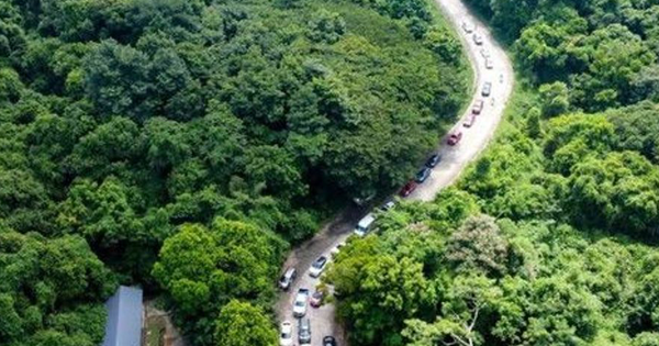 Hàng trăm người tích cực tìm kiếm nam du khách đi lạc trong Vườn quốc gia Cúc Phương