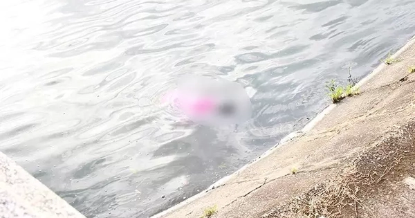 Công an điều tra thi thể bé gái nổi trên mặt hồ ở Bắc Ninh