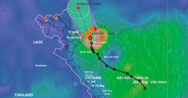 Áp thấp nhiệt đới giật cấp 8 đổ bộ vào Quảng Ninh, miền Bắc nhiều nơi mưa to
