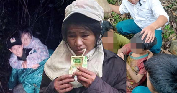 Từ vụ nam du khách tử vong ở Cúc Phương: Nhìn lại hàng loạt câu chuyện sinh tồn nghẹt thở trong rừng già tại Việt Nam từng khiến dư luận xôn xao