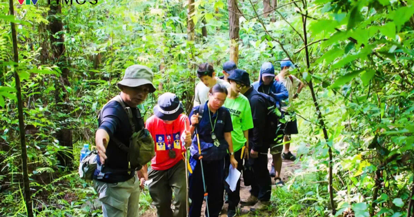 Những lưu ý khi đi tham quan rừng, lời khuyên từ chuyên gia cứu nạn cứu hộ