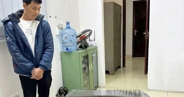 Diễn biến vụ lĩnh 6 năm tù vì nuôi bán 13 con gà lôi trắng sẽ ra sao?