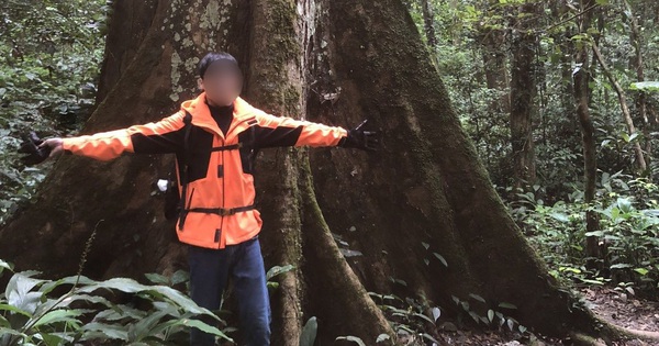 Vụ nam thanh niên tử vong ở rừng Cúc Phương: Vì sao nạn nhân để lại balô, điện thoại ở cửa hang?