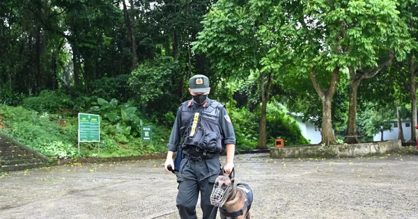 Ninh Bình "siết" du lịch mạo hiểm sau vụ du khách tử vong trong rừng Cúc Phương