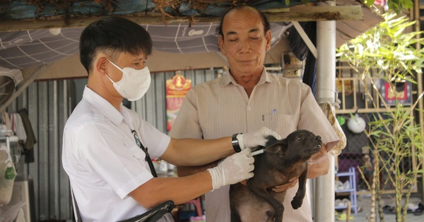 Người đàn ông ở TP HCM bị chó, rắn cắn tử vong