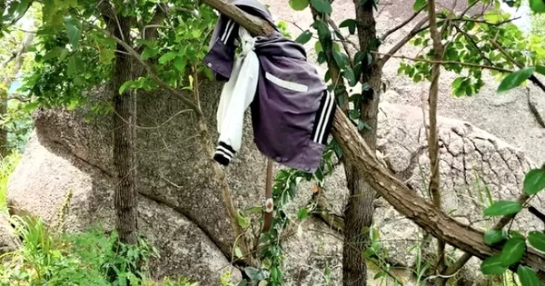 Lấy mẫu xương, quần áo để truy tìm tung tích nạn nhân vụ phát hiện bộ xương dưới gốc cây